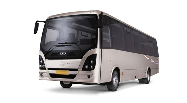 Van & Coaches